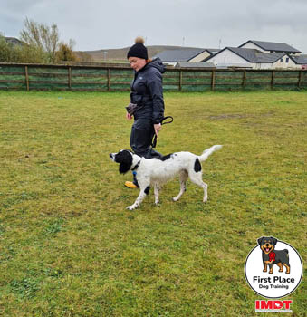 2022 First Place Dog Training Gallery Image