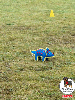 2022 First Place Dog Training Gallery Image