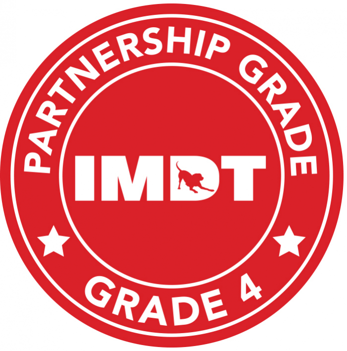 IMDT Partnership Grade 4