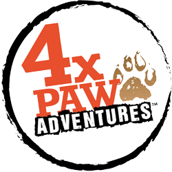 4X Paw Adventures